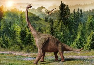 Obrázek z Pohlednice 3D 16cm  - brachiosaurus (25) 